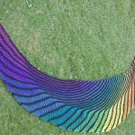 MsDae Rainbow Nymphalidea